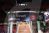 28-year-old Man Stabbed To The Right Side Of The Chest And Four Times On The Back Of The Neck At 233 Street MTA Subway Station