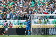 SE Palmeiras v Botafogo FR: Round Of 16 - FIFA Club World Cup 2025