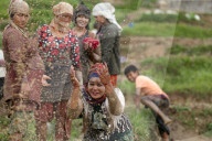 Nepal Marks “Paddy Day” Celebrating Rice And Rituals
