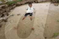 Nepal Marks “Paddy Day” Celebrating Rice And Rituals