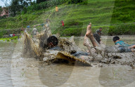 National Paddy Day Celebration In Nepal