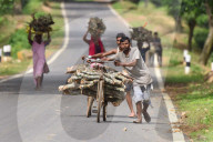 Dailylife In India 