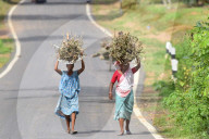 Dailylife In India 