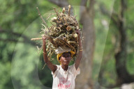 Dailylife In India 
