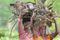 Dailylife In India 