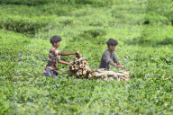 Dailylife In India 