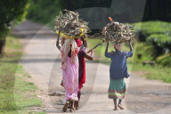 Dailylife In India 
