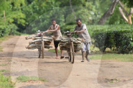 Dailylife In India 