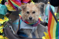 2025 NYC Pride Parade