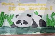 Xin Xin, The Mexican Giant Panda, Celebrates Her 35th Birthday