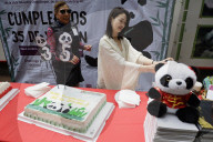 Xin Xin, The Mexican Giant Panda, Celebrates Her 35th Birthday