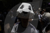 Xin Xin, The Mexican Giant Panda, Celebrates Her 35th Birthday