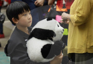 Xin Xin, The Mexican Giant Panda, Celebrates Her 35th Birthday