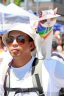 Toronto Pride 2025 Festival And Parade In Toronto, Canada