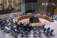 UNSC Unanimously Adopted Resolution On UNDOF