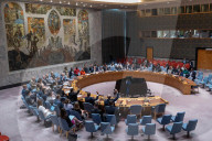 UNSC Unanimously Adopted Resolution On UNDOF