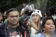 35th Birthday Celebration For A Giant Panda Xin Xin