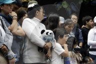 35th Birthday Celebration For A Giant Panda Xin Xin