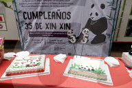 35th Birthday Celebration For A Giant Panda Xin Xin