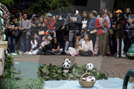 35th Birthday Celebration For A Giant Panda Xin Xin