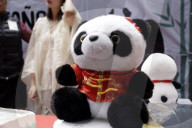 35th Birthday Celebration For A Giant Panda Xin Xin