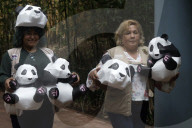 35th Birthday Celebration For A Giant Panda Xin Xin