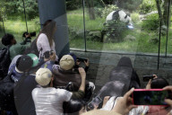 35th Birthday Celebration For A Giant Panda Xin Xin