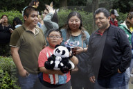 35th Birthday Celebration For A Giant Panda Xin Xin