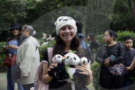 35th Birthday Celebration For A Giant Panda Xin Xin
