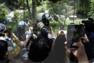 35th Birthday Celebration For A Giant Panda Xin Xin