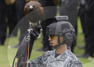 6th Anniversary Of The National Guard In Mexico