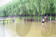 Songhua River Water Level Rose