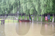 Songhua River Water Level Rose