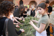 Wreaths Festival In Krakow
