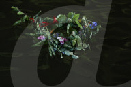 Wreaths Festival In Krakow