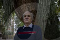 'We are perilously close to the point of no return': climate scientist Carlos Nobre on Amazon rainforest's future.