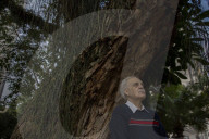 'We are perilously close to the point of no return': climate scientist Carlos Nobre on Amazon rainforest's future.