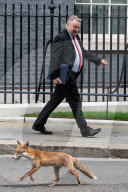 Cabinet Meeting In Downing Street