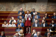 Questions To The French Government At The National Assembly
