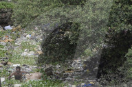 Mithi River In Mumbai 