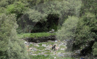 Mithi River In Mumbai 