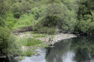 Mithi River In Mumbai 