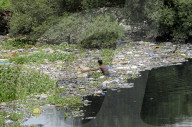 Mithi River In Mumbai 