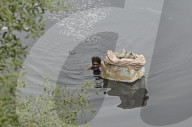 Mithi River In Mumbai 