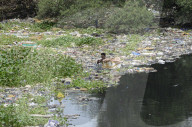 Mithi River In Mumbai 