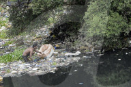 Mithi River In Mumbai 