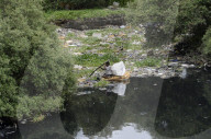 Mithi River In Mumbai 