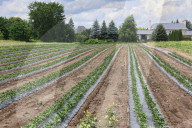 Agriculture In Canada