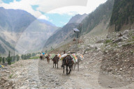 Annual Amarnath Yatra Pilgrimage In Indian Kashmir