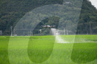 Drones Spraying Pesticides in Anlong